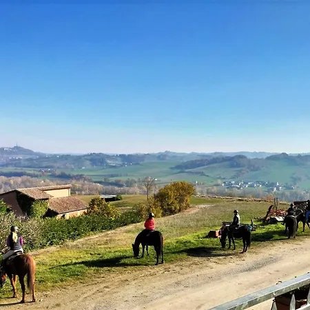 Cantina Visconti - *