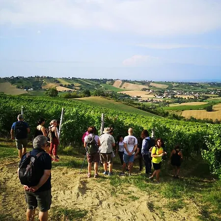 Gospodarstwo agroturystyczne Cantina Visconti - *