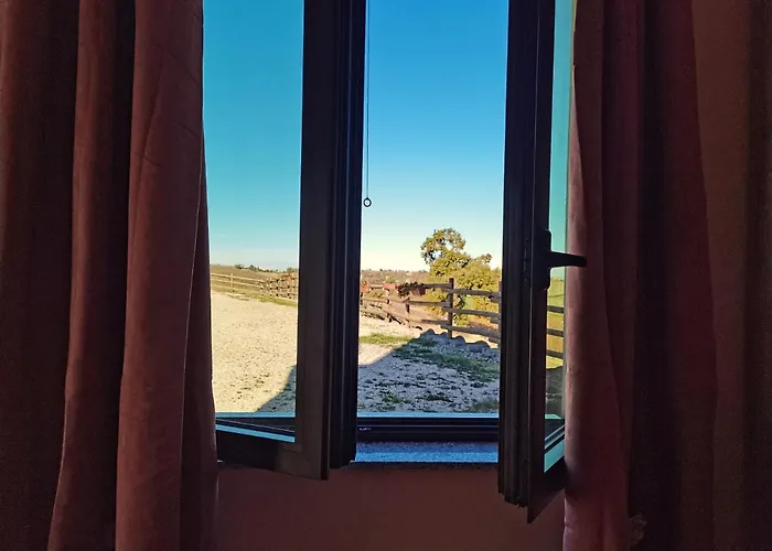 Cantina Visconti - * Vigoleno