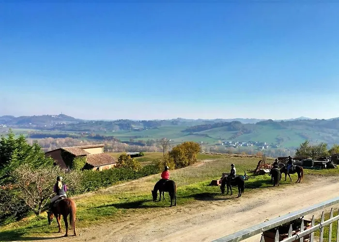 Cantina Visconti - *