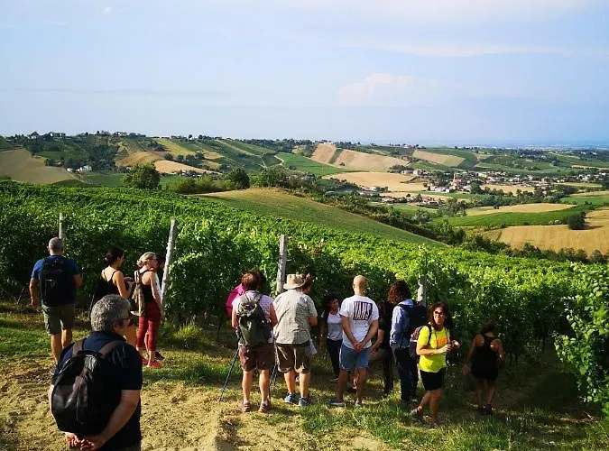 Séjour à la ferme Cantina Visconti - *